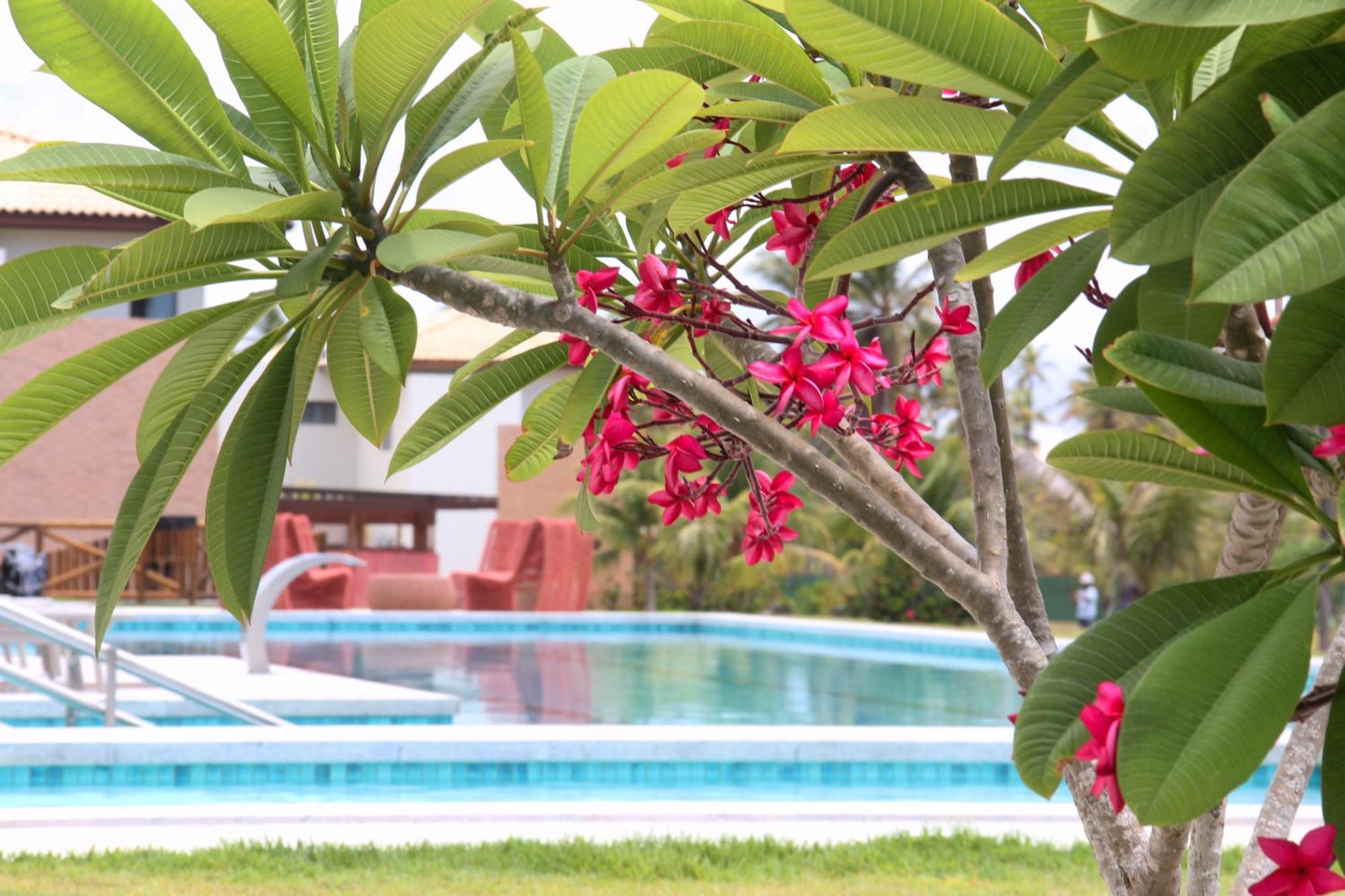 Exclusivo 2 Suites A Beira Mar Imbassai Privilege Casa de Férias *